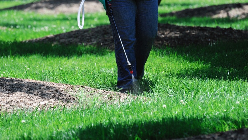 The Average Cost Of Lawn Treatment