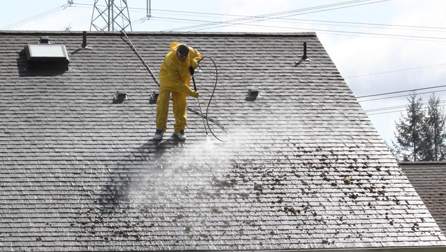 roof pressure cleaning cost