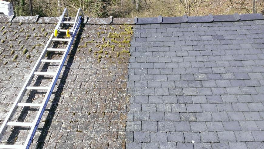 removing roof moss