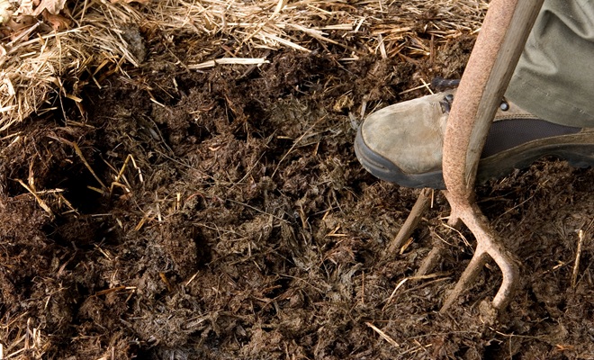 Manure and fork