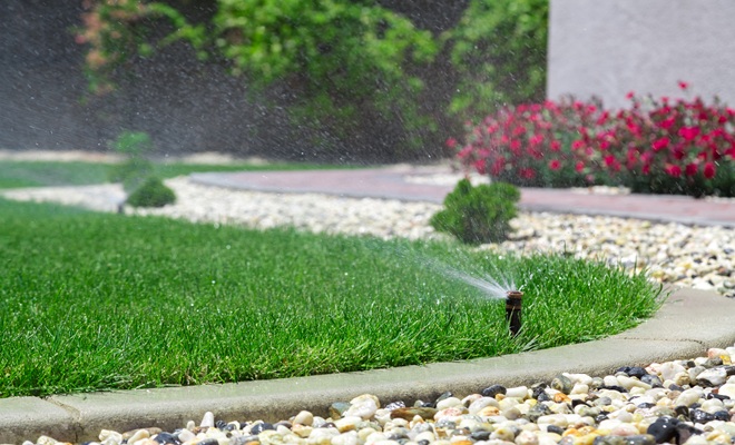 Water sprinkler