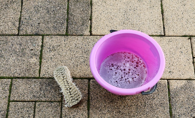 Bucket and scrubbing brush
