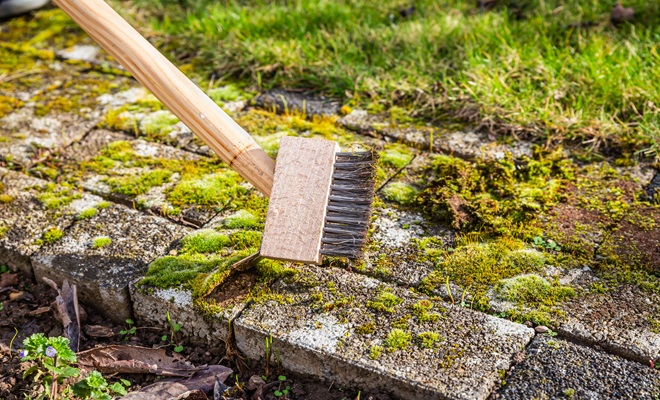 Removing moss from patio