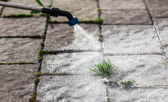 Weed killer being sprayed