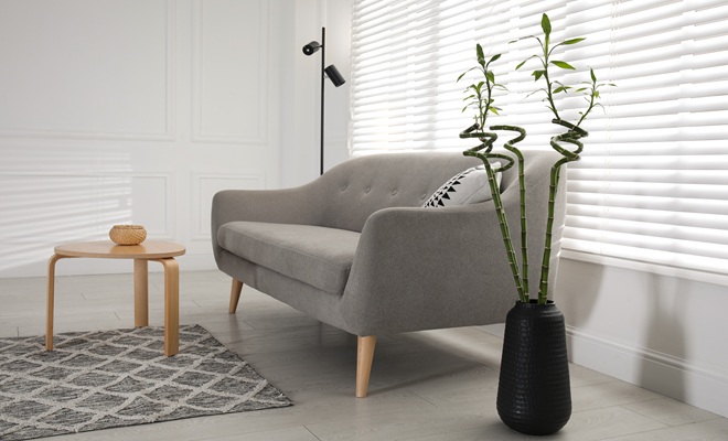 Sofa in living room