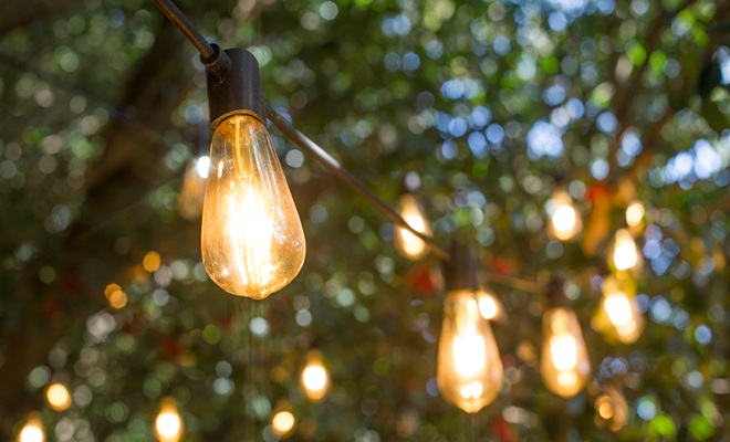 Festoon lighting