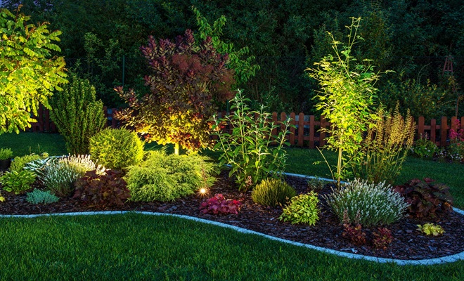 Illuminated flowerbed