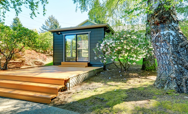 Garden office and path