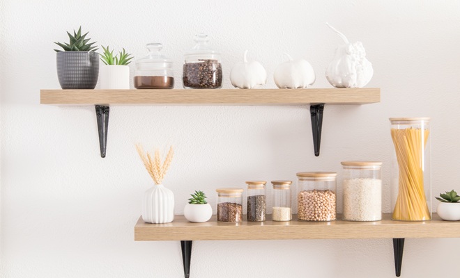 Open shelves cactus