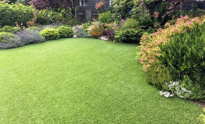 tidy garden with grass and plants