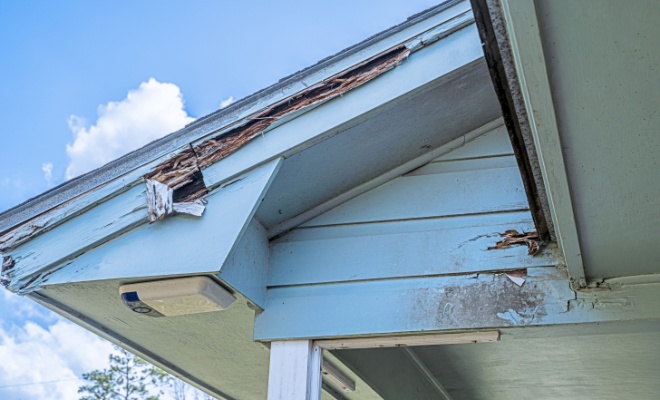 damaged fascia