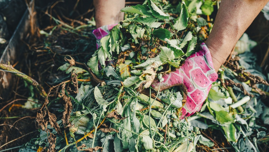 Garden Maintenance