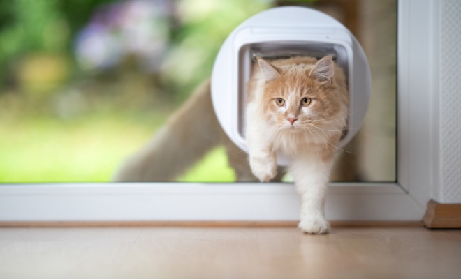 Circle cat flap