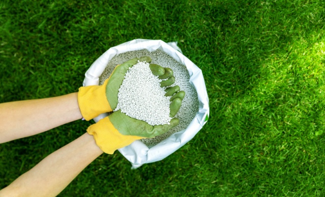 Lawn fertiliser