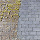 removing roof moss