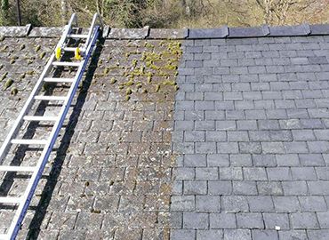 removing roof moss