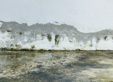 rising damp on wall