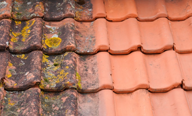 clean roof