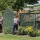 removing a shed