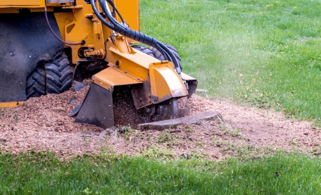 tree stump grinding