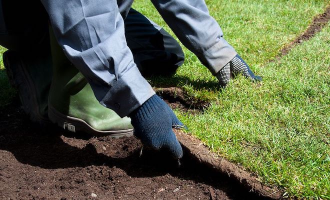 Person removing turf