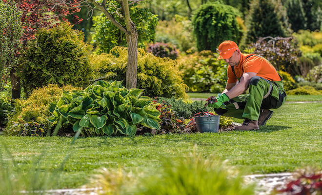 someone gardening