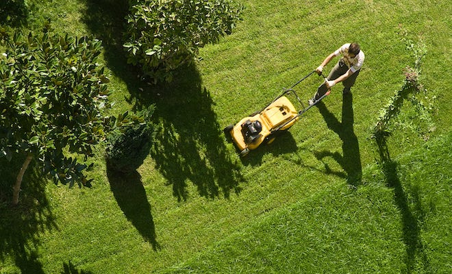 The Average Cost of Lawn Treatment
