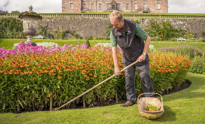 Male gardener