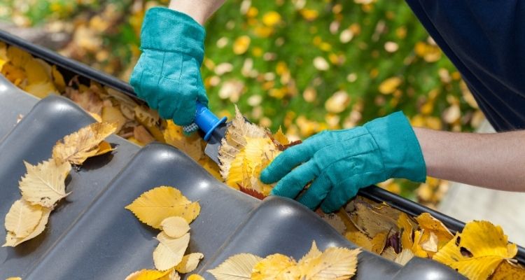 DIY Roof moss removal