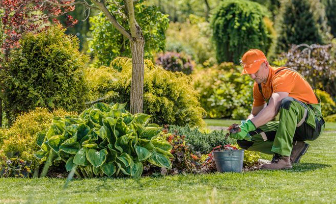 Gardening