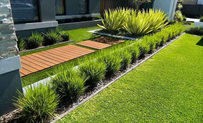 Artificial grass and plants
