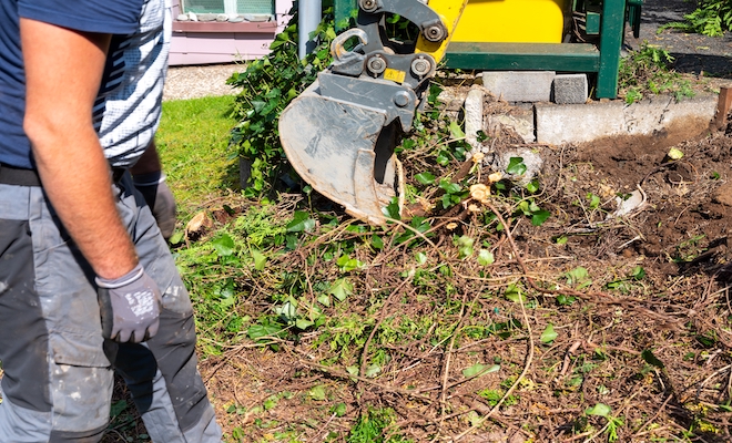 someone completing garden maintenance