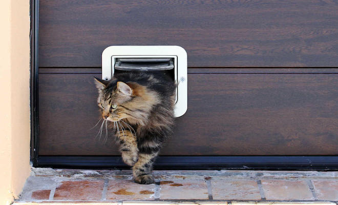 Square cat flap