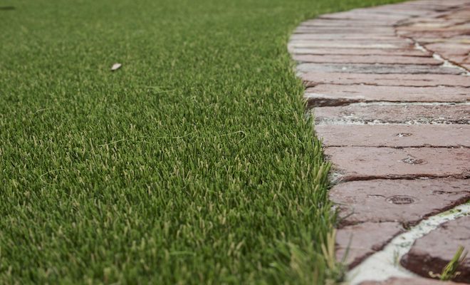 Fake grass