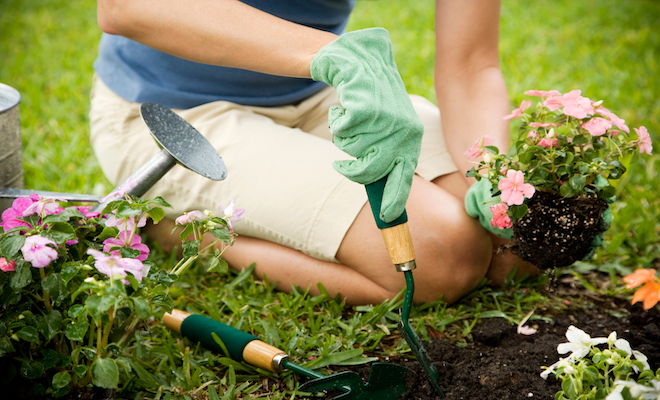 gardener