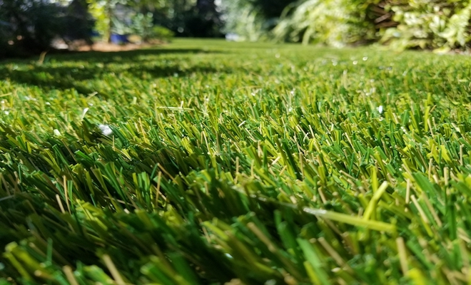 Artificial grass close up