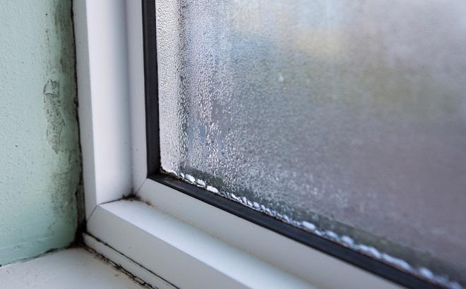 blown window condensation