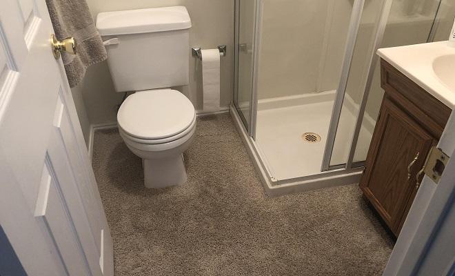 carpet in the bathroom