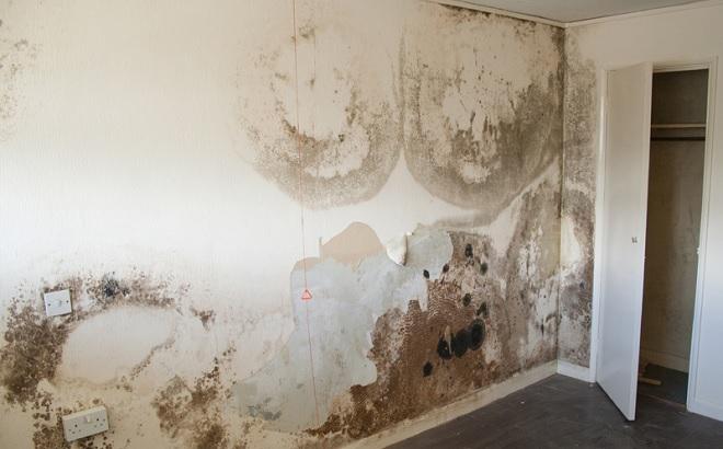 damp bedroom