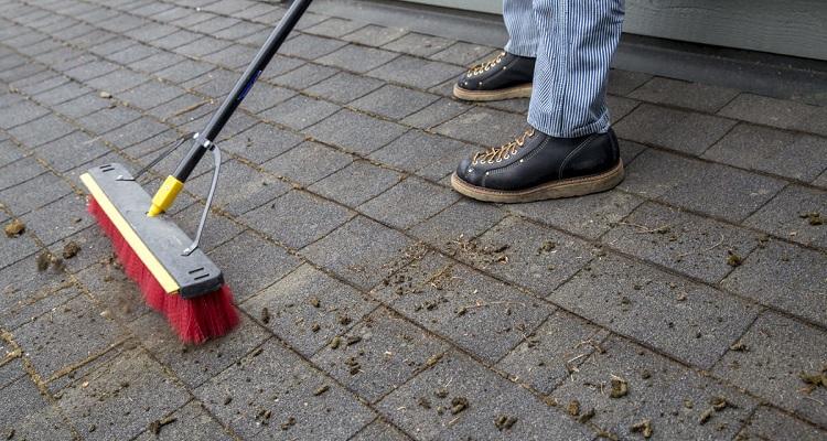 diy roof cleaning