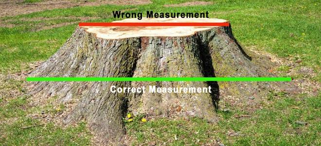 tree stump measuring