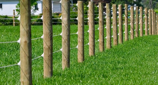 wooden fence posts