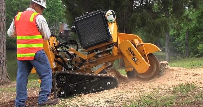 tree stump grinding