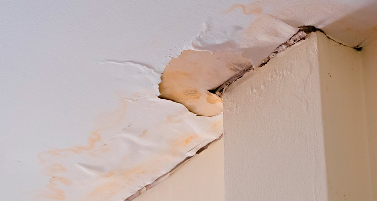 ceilingrepairs9