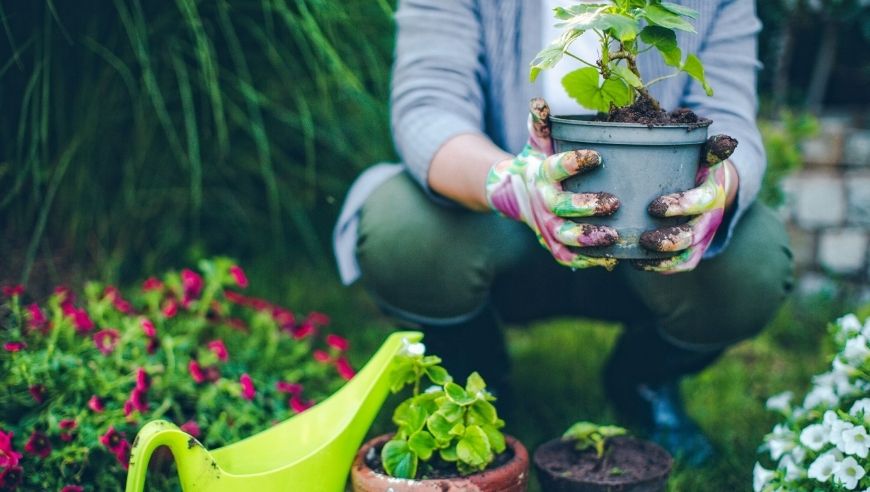 How Much Does a Gardener Cost? | Gardener Cost Guide