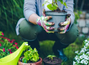 gardeer holding plant pot