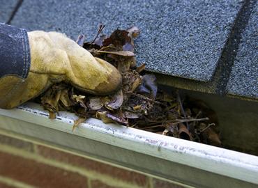 gutter cleaning