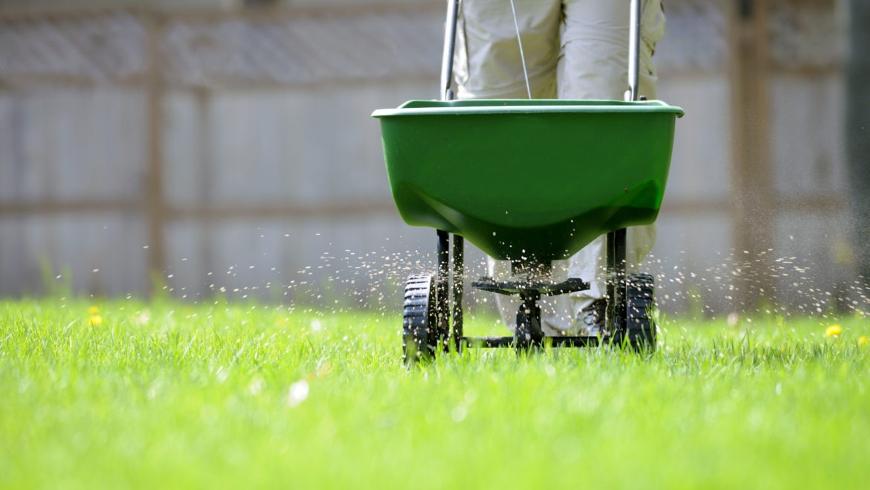 The Cost of Lawn Fertilisation