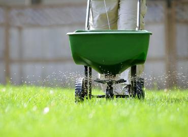 lawn fertiliser