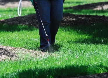 lawn treatment